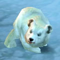 Baby Blizzard Bear